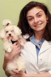 ветеринар Акопова Александра